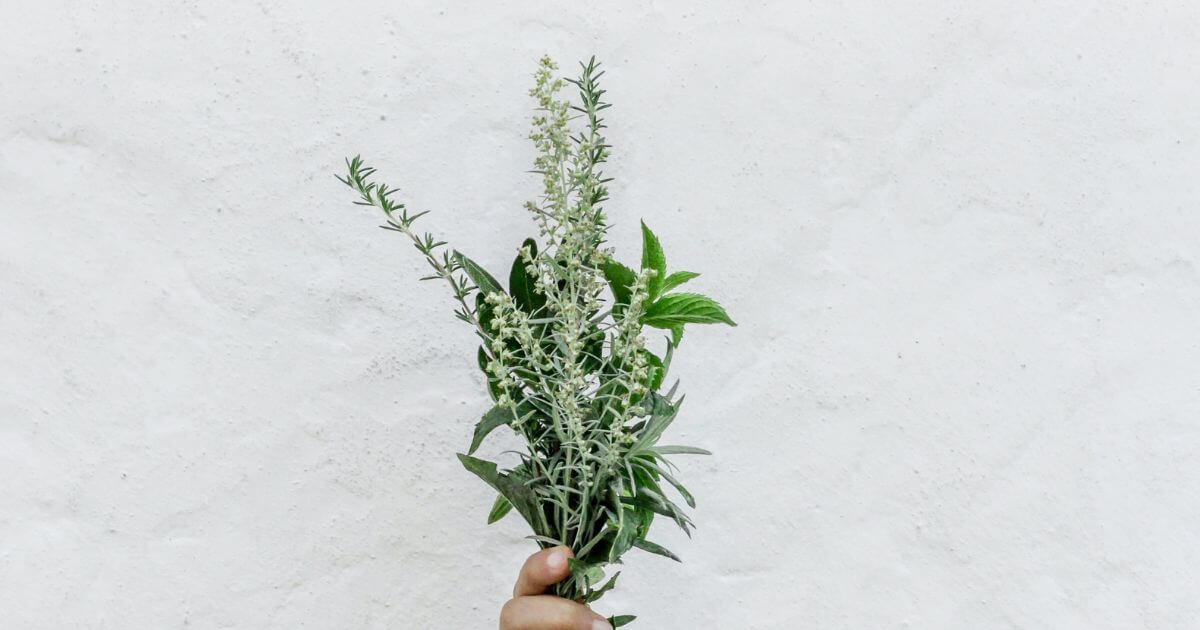 featured article image