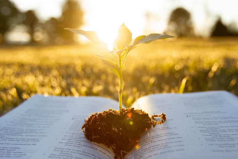 The Guide To Growing in Faith