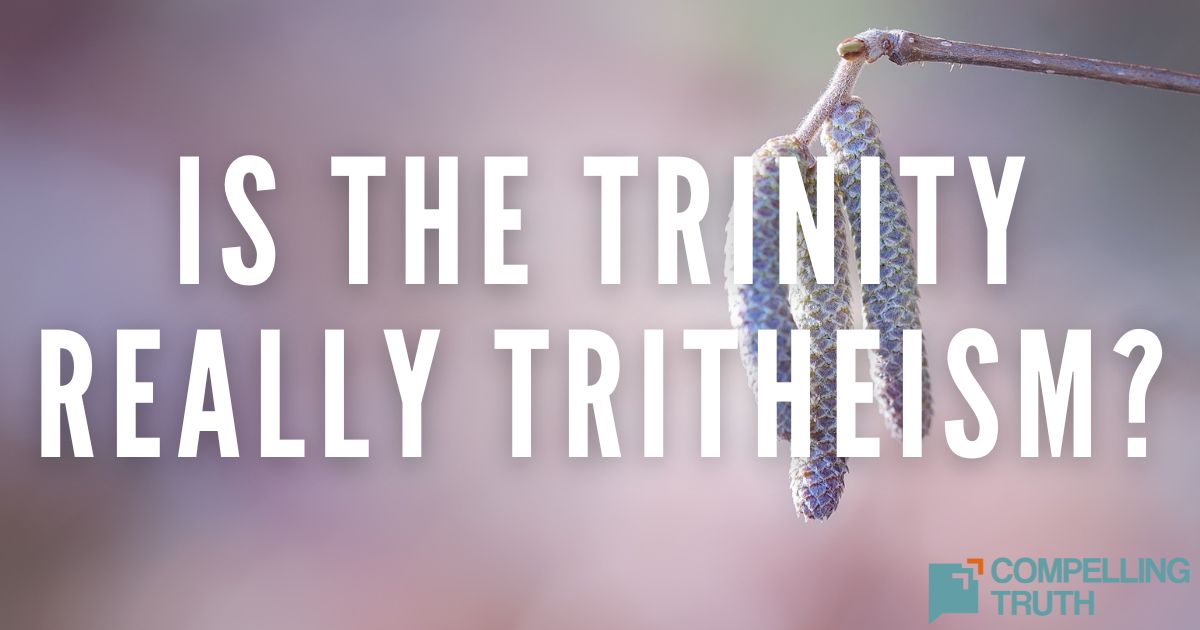 What are some popular illustrations of the Trinity? - Compelling Truth